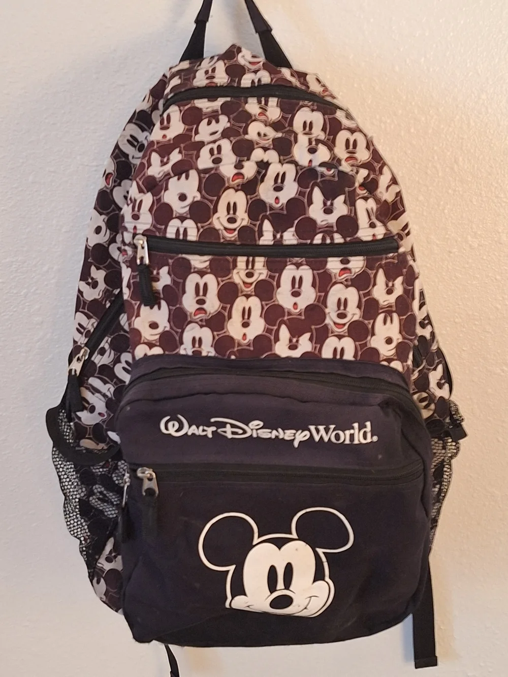 Disney authentic parks